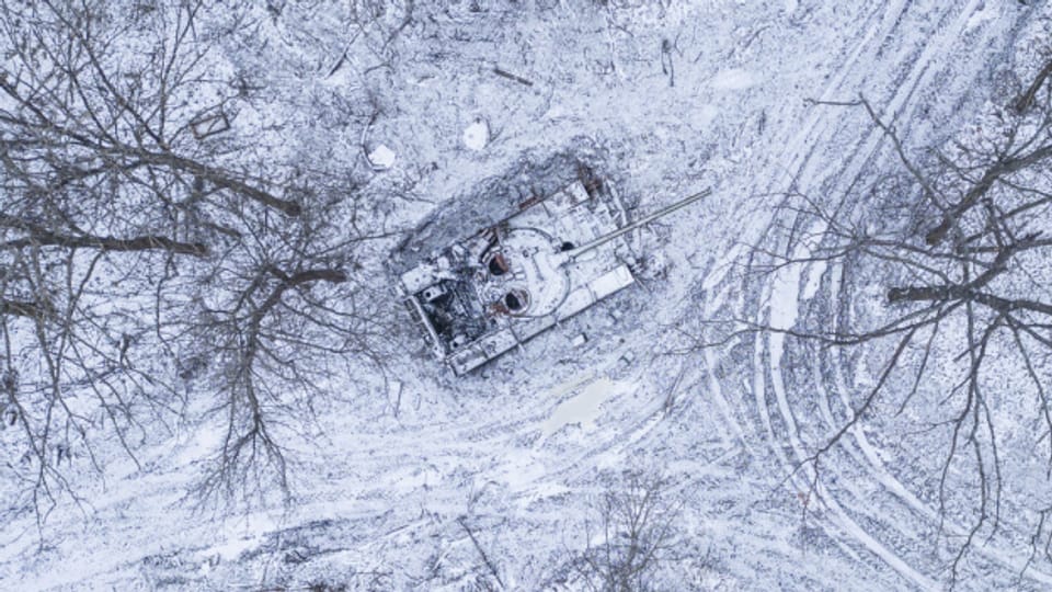 Der Krieg tötet auch die Umwelt - Audio & Podcasts - SRF