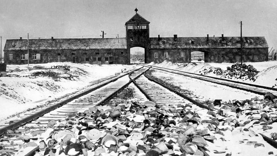 Kultur-Talk: 80 Jahre Befreiung von Auschwitz - Audio & Podcasts - SRF