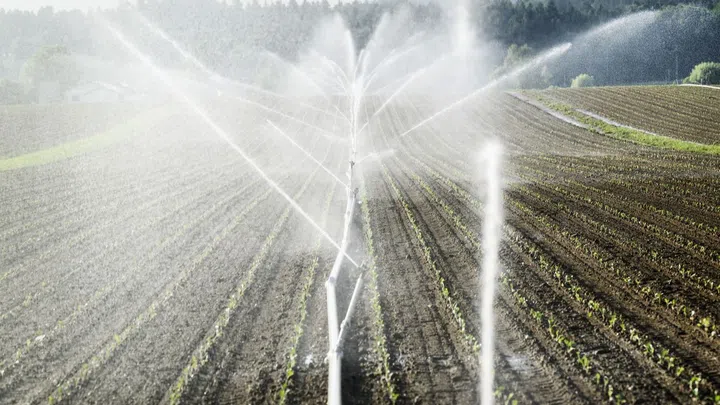 Million-dollar project for agriculture: New irrigation system in the Bernese Seeland