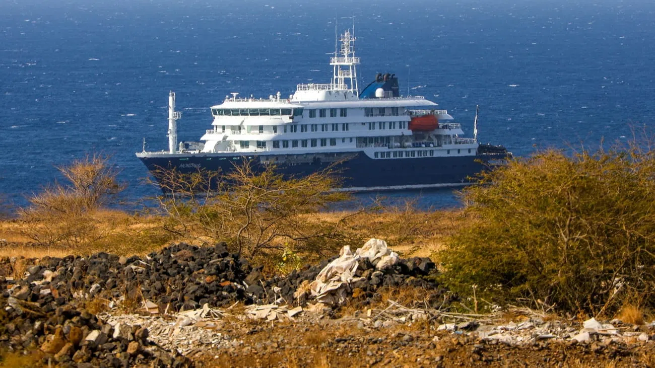 Drei Tote auf Expeditionsschiff «MV Hondius»: Hantavirus-Ausbruch im Atlantik — image 3