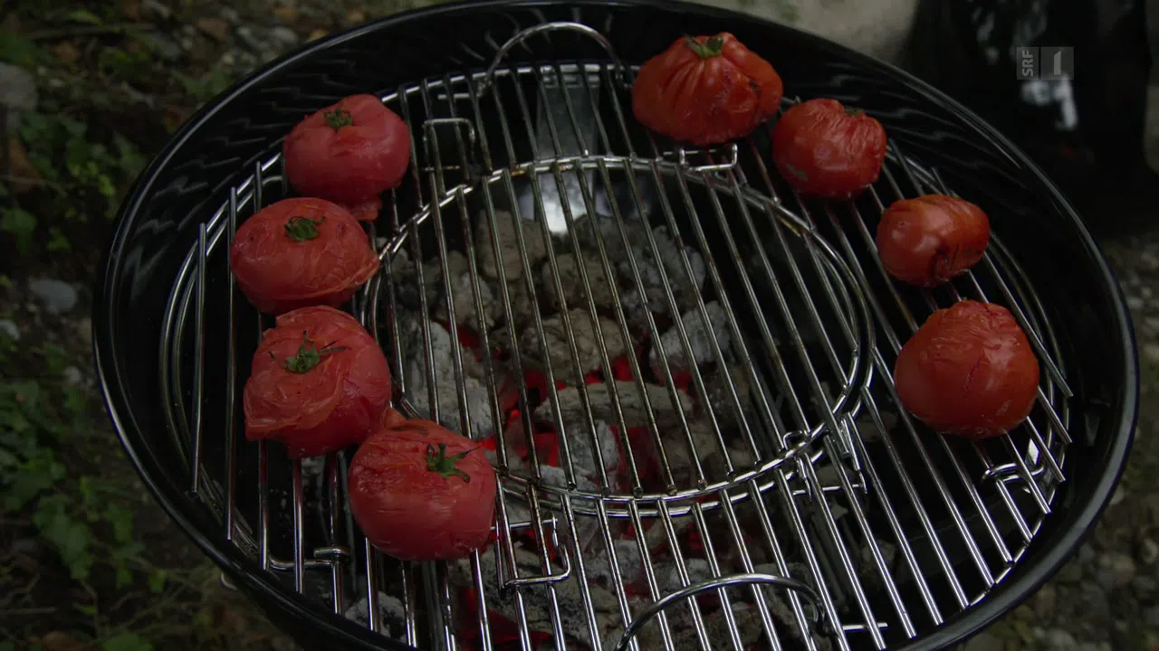 Holzkohlegrill Test Kassensturz
