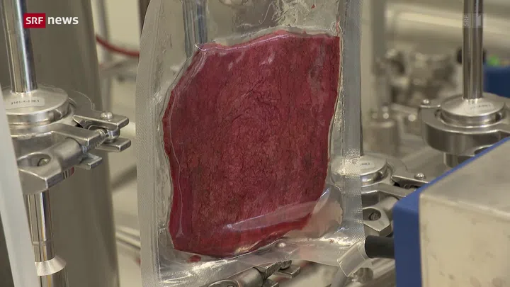 Gezüchtetes Laborfleisch «Made in Switzerland»? - News - SRF